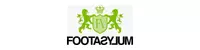 ie.footasylum.com logo